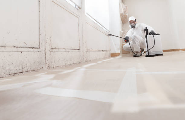 24/7 Emergency Mold Remediation experts in Canton, PA