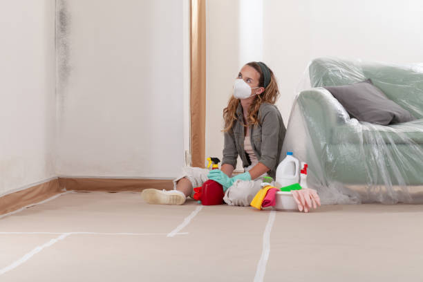 Reliable Mold Remediation contractor in Canton, PA by WQB Mold Removal